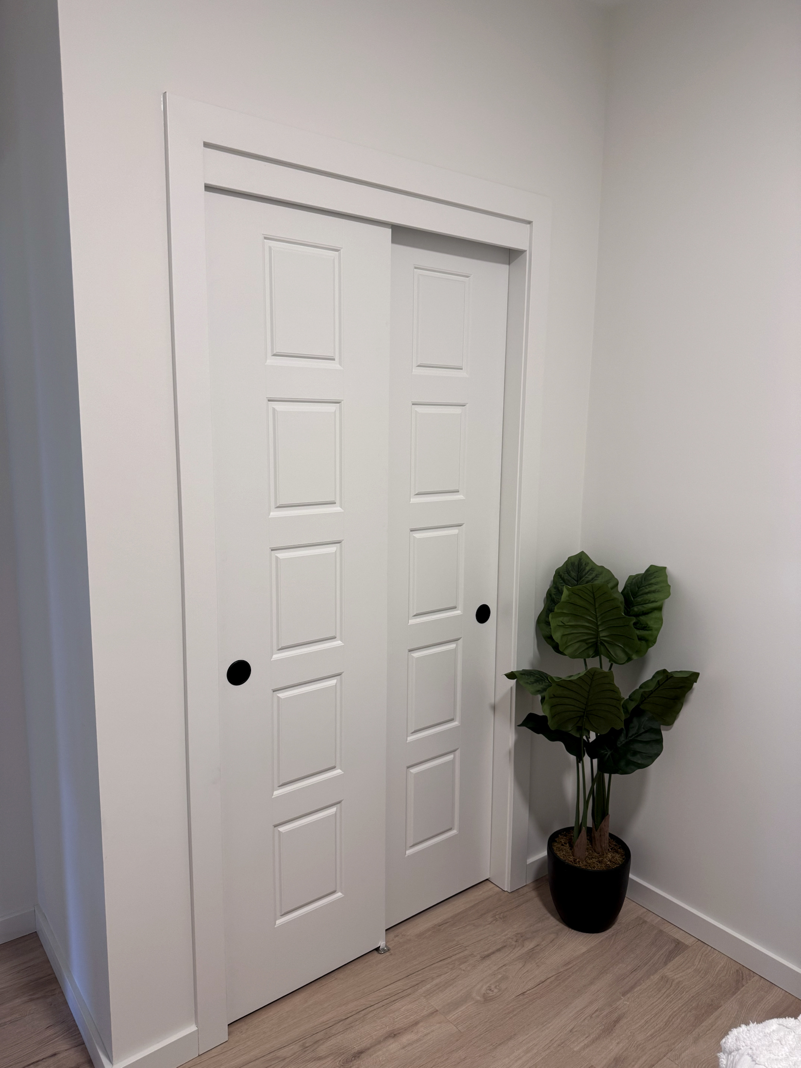 White double closet doors with black round hardware and surrounding trim